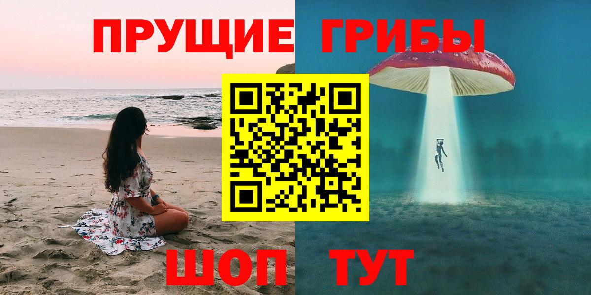 Псилоцибиновые грибы GOLDEN TEACHER  Вход с VPN  цены   Галлюциногенные грибы GOLDEN TEACHER  Тосно 